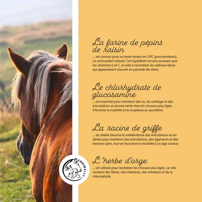 Annimally Vitalité Senior