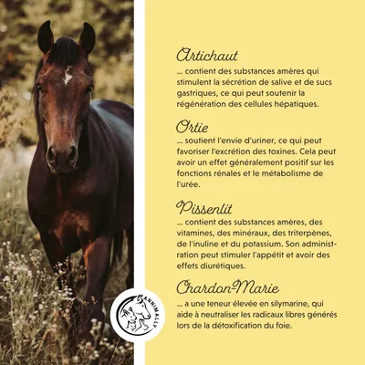 Annimally Liquide Foie-Rein