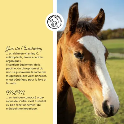Annimally Liquide Foie-Rein