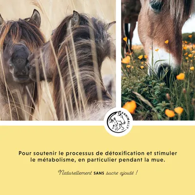 Annimally Liquide Foie-Rein