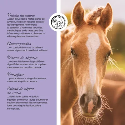 Annimally Liquide Poivre du Moine