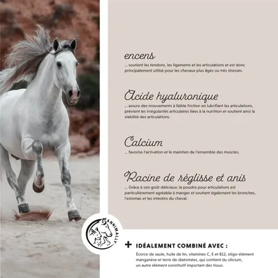 Annimally Le plaisir de bouger sensitive