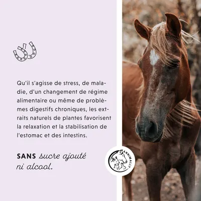 Annimally Liquide Gastro-Intestinal