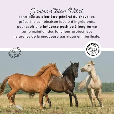 Annimally Liquide Gastro-Intestinal