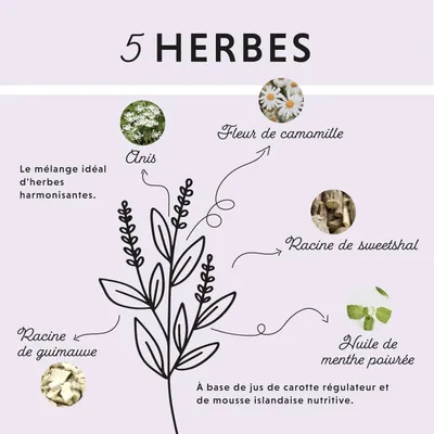 Annimally Liquide Gastro-Intestinal