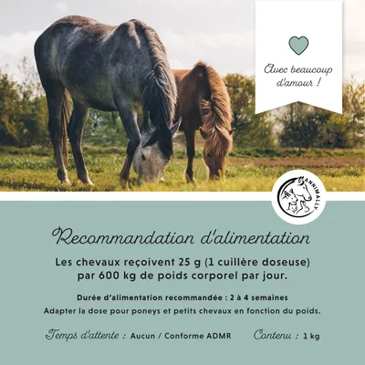 Annimally Magnésium Pellets