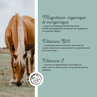 Annimally Magnésium Pellets