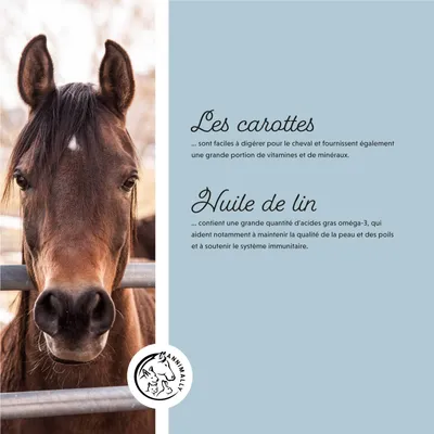 Annimally Vitamine E / Sélénium & Lysine