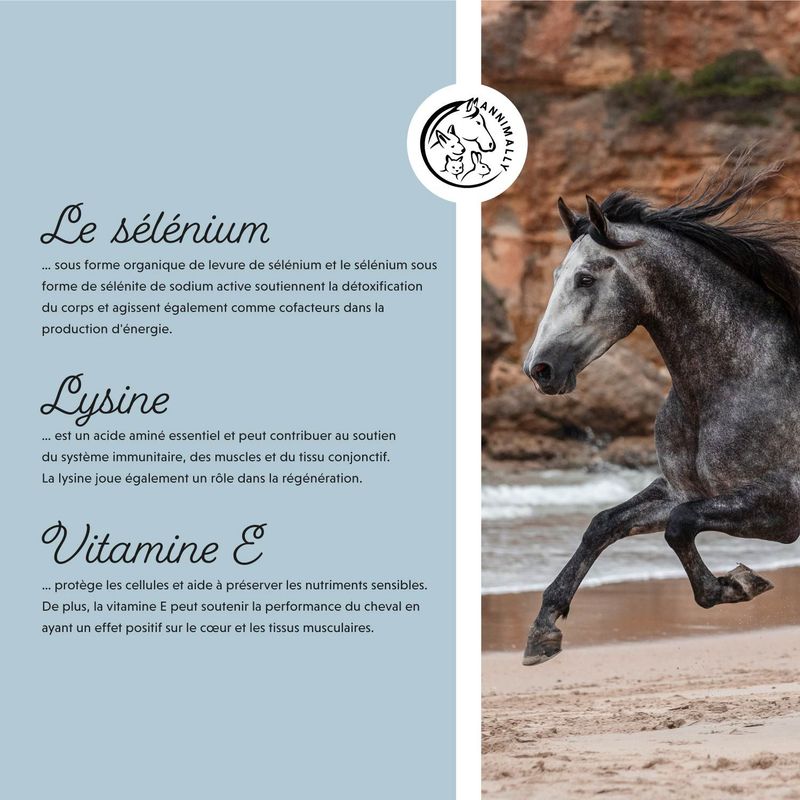 Annimally Vitamine E / Sélénium & Lysine