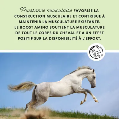 Annimally Poudre Puissance Musculaire