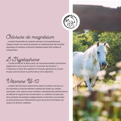 Annimally Liquide Relaxant