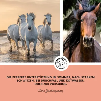 Annimally Liquide Electrolyte