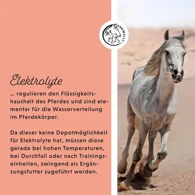 Annimally Liquide Electrolyte