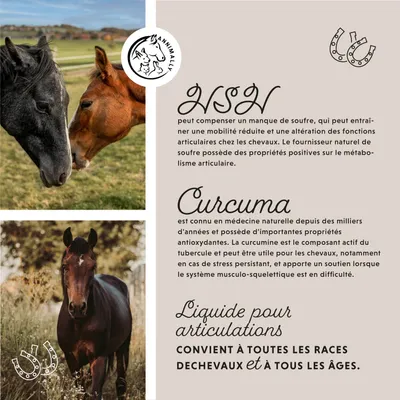 Annimally Articulations Liquide