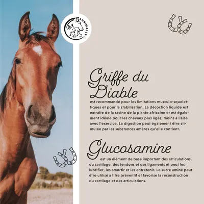 Annimally Articulations Liquide