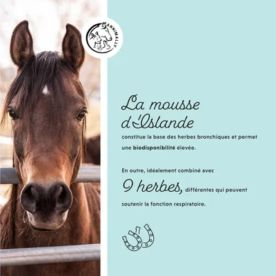 Annimally Liquide Bronchique