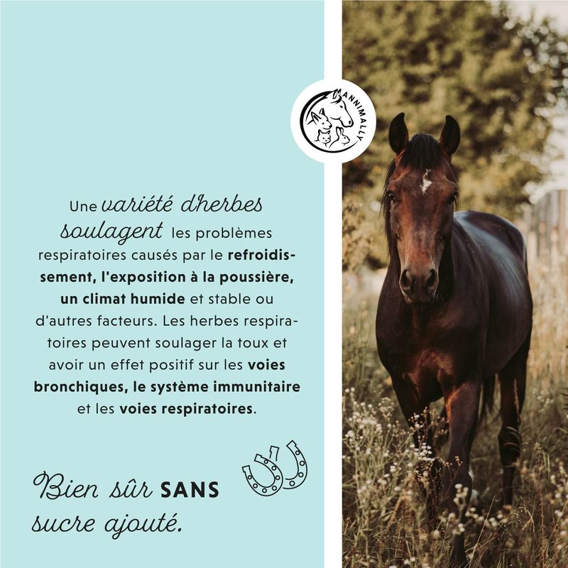 Annimally Liquide Bronchique