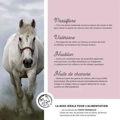 Annimally Force Tranquille