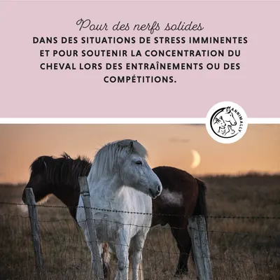 Annimally Force Tranquille