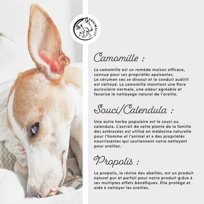 Annimally Nettoyant pour Oreilles