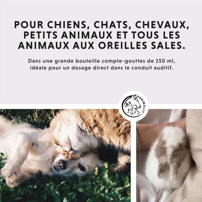 Annimally Nettoyant pour Oreilles