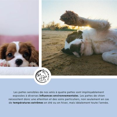 Annimally Baume pour Pattes