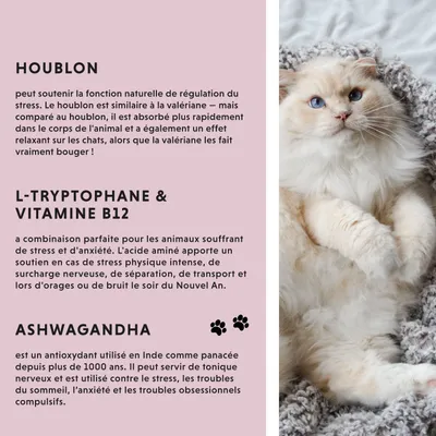 Annimally Liquide Relaxant