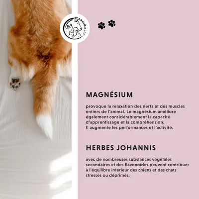 Annimally Liquide Relaxant