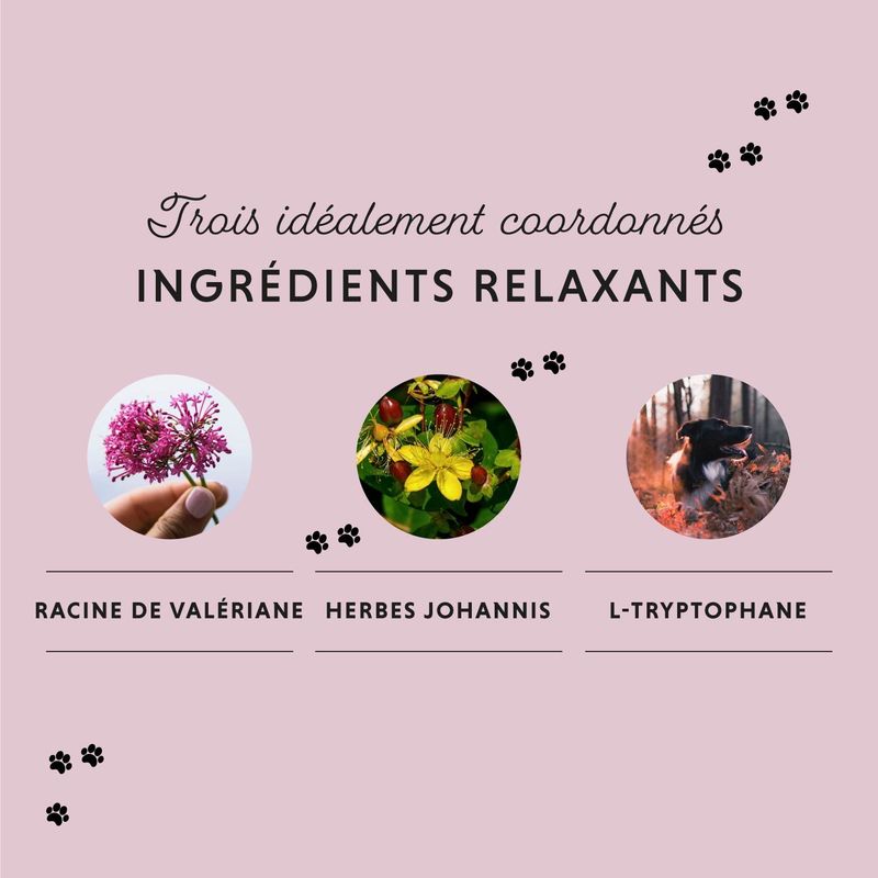 Annimally Comprimès Relaxant