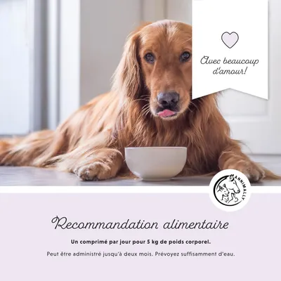 Annimally Comprimés Colon Vital