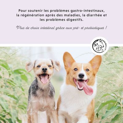 Annimally Comprimés Colon Vital