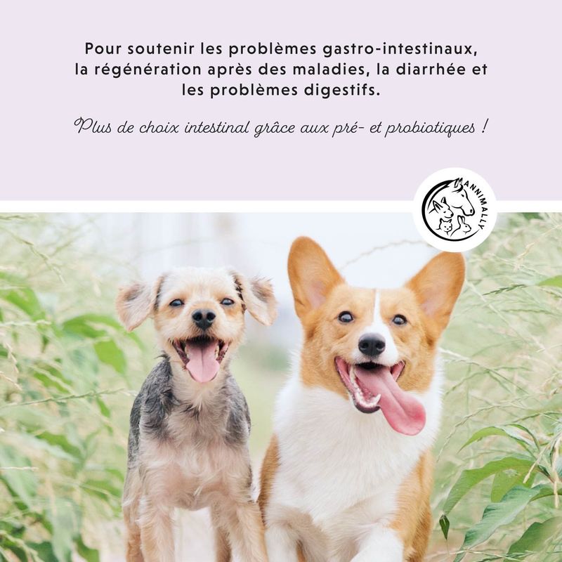 Annimally Comprimés Colon Vital