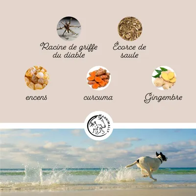 Annimally Poudre Articulations