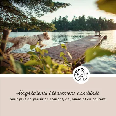 Annimally Poudre Articulations