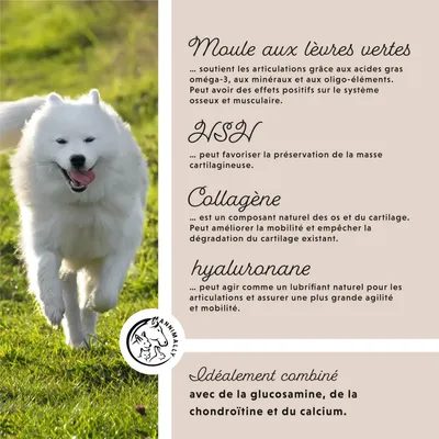 Annimally Poudre Articulations