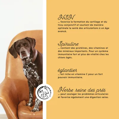 Annimally Senior Vital