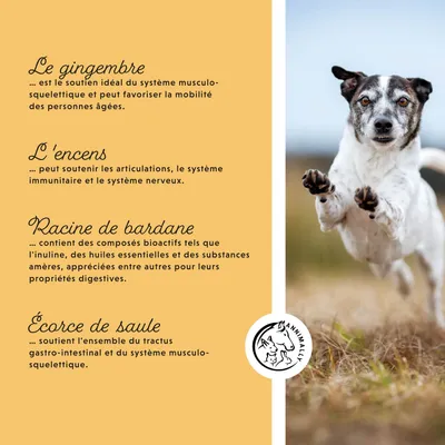 Annimally Senior Vital