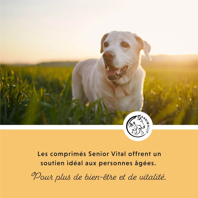 Annimally Senior Vital