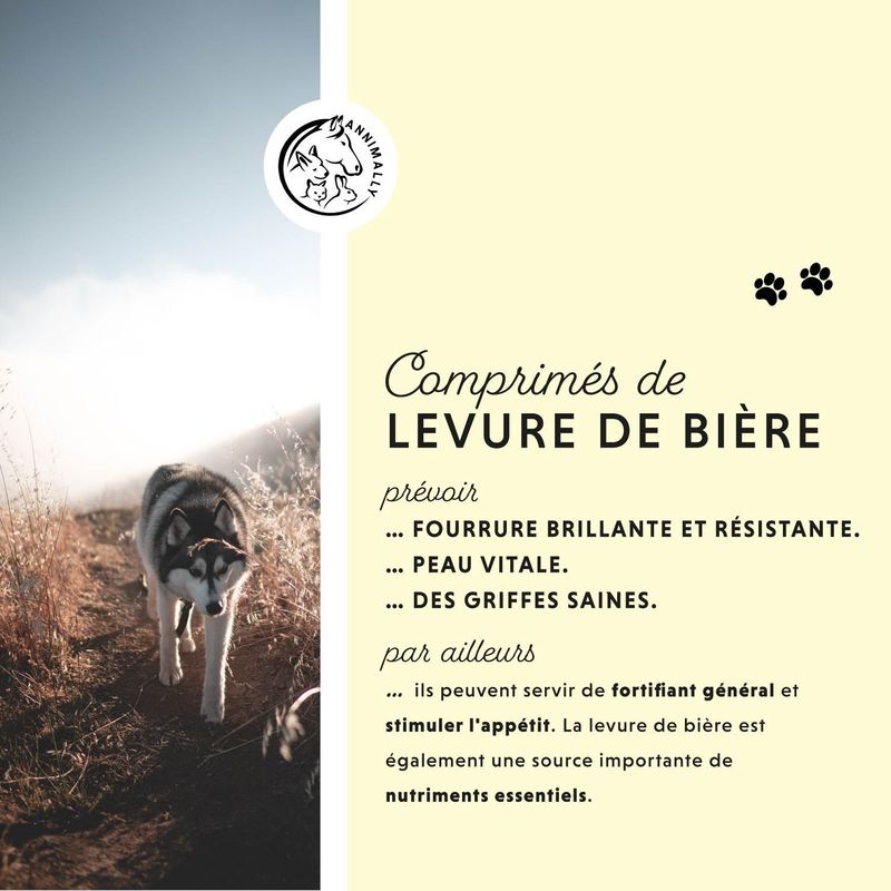 Annimally Comprimés de levure de Bière