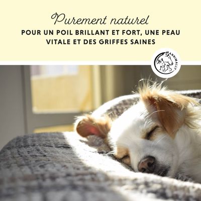 Annimally Comprimés de levure de Bière