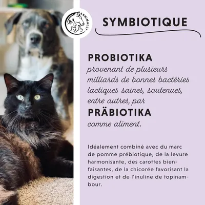 Annimally Poudre Vitale Du Côlon