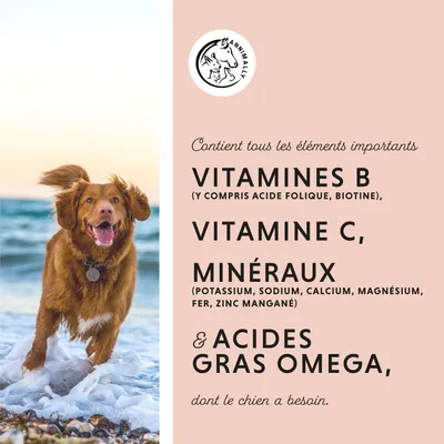Annimally Poudre Multi Vital Booster de vitamines