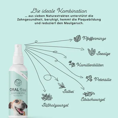 Annimally Oral Vital Spray de Soin de Dentaire