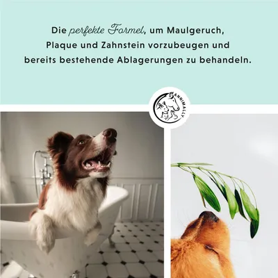 Annimally Oral Vital Spray de Soin de Dentaire