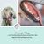 Annimally Oral Vital Spray de Soin de Dentaire