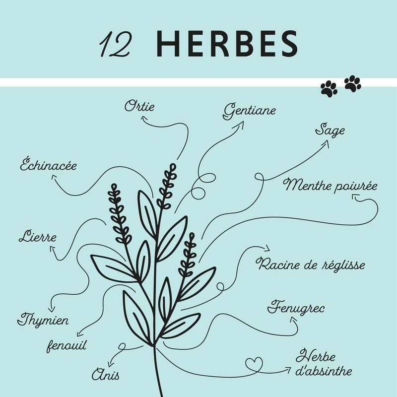 Annimally Bronchique Plus