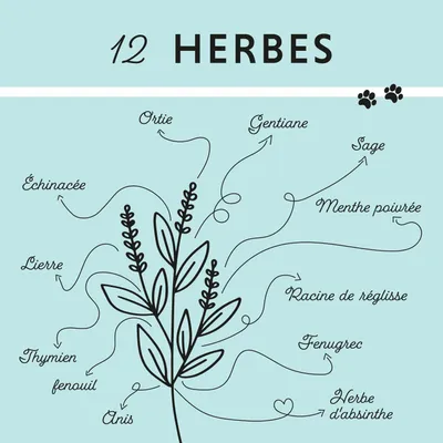 Annimally Bronchique Plus