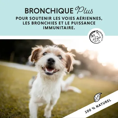 Annimally Bronchique Plus