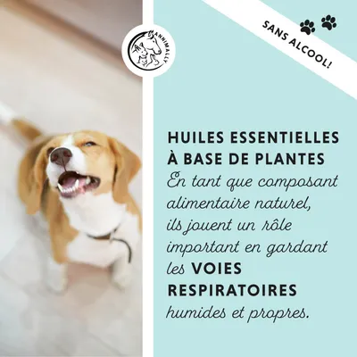 Annimally Bronchique Plus