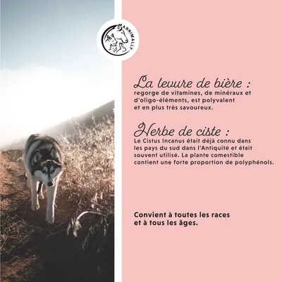 Annimally Adieu Tiques